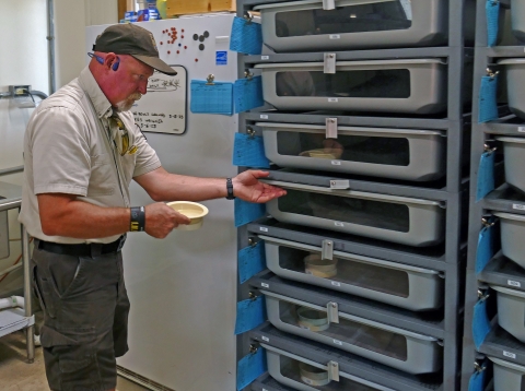 TUSFWS project director Tony Brady 