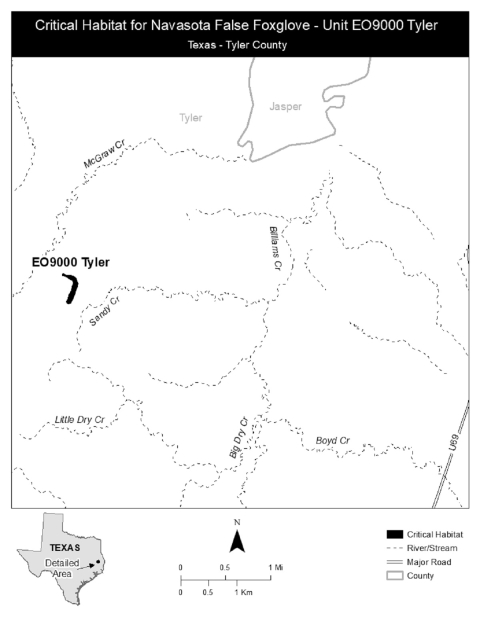 Navasota false foxglove proposed critical habitat Tyler County