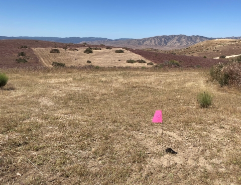 dry grass, mowed in patches, covers a a plateau with mountains in the distance. A small pink marker flag is visible in the foreground
