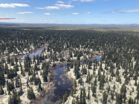 aerial view of a boreal forest with rivers