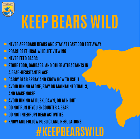 Top text says keep bears wild. Left center text says never approach bear and stay at least 300 feet away. Practice ethical wildlife viewing. Never feed bears. Store food, garbage, and other attractants in a bear-resistant place. Carry bear spray and know how to use it. Avoid hiking alone, stay on maintained trails, and make noise. Avoid hiking at dusk, dawn, or at night. Do not run if you encounter a bear. Do not interrupt bear activities. Know and follow public land regulations.