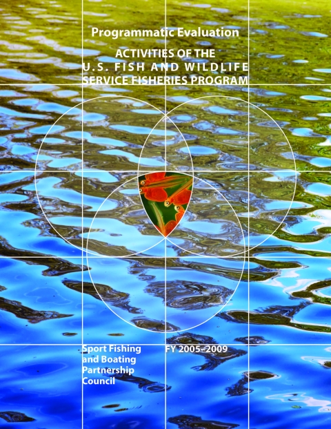 Report cover background shows ripples on the surface of water. In the forefront is an image of small orange fish inside 3 concentric circles.