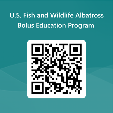 QR Code for bolus request form.