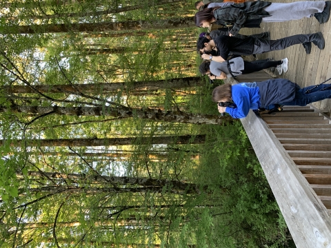A group of people holding binoculars gather on a boardwalk trail in a deciduous forest, looking out at an unknown subject.