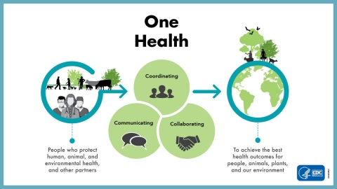 A graphic of the One Health framework, with representative icons showing that through coordination, collaboration, and communication, we can achieve optimal health outcomes for animals, people, and the environment.