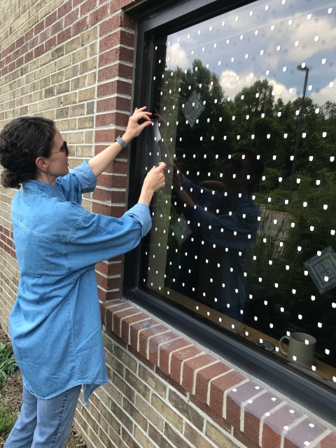 Person placing a decal on a window