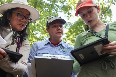 Three people standing under trees, looking at a computer tablet