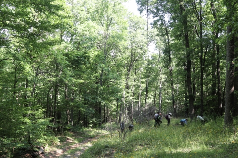 A group of people in a clearing in the forest