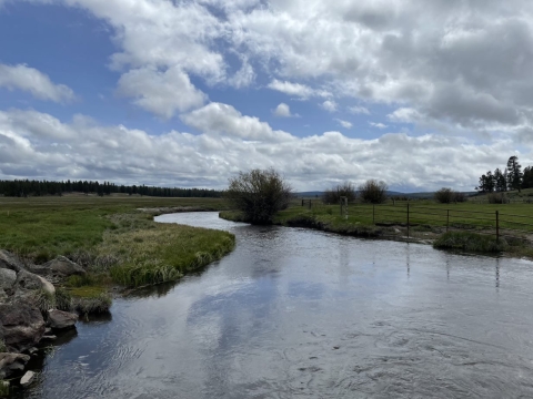 Picture of the Williamson River 