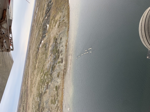 aerial view of caribou swimming across a lake in Canada