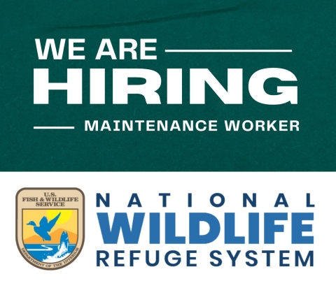 White text on a green background reads: We are hiring a maintenance worker. The Fish and Wildlife logo is visible underneath with the words National Wildlife Refuge System. 