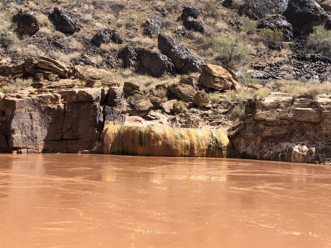 Warm water spring that feeds into the Colorado River