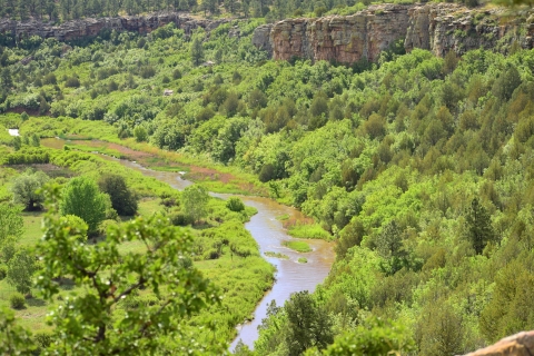 View of the Rio Mora River surrounded by green trees and mountainous terrain 