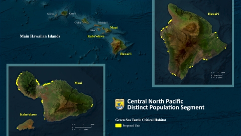 A map of the Hawaiian Islands that show the locations of the proposed critical habitat for green sea turtle highlighted in yellow