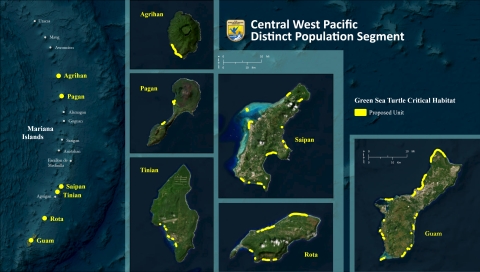 A map of the Mariana Islands that show the locations of the proposed critical habitat for green sea turtle highlighted in yellow