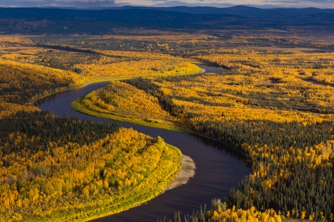 Aerial view of a river with fall colored trees and vegetation along the sides 