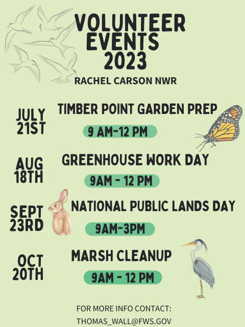 Volunteer Opportunities July 21 Timber Point Garden Prep Aug 18 Greenhouse Work Day Sept 23 National Public Lands Day Oct 20th Marsh Clearnup