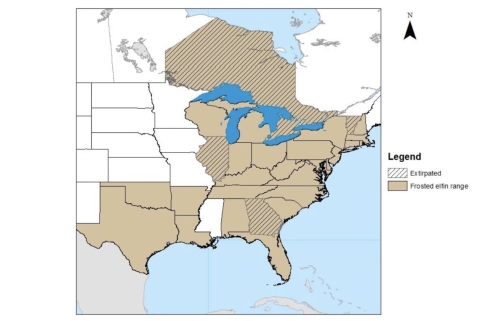 a map of the eastern U.S. and Canada in which numerous states are shaded to indicate the historic range of the frosted elfin butterfly and a few (George, Indiana, Vermont, and Ontario) are cross-hatched to indicate the species has been extirpated 