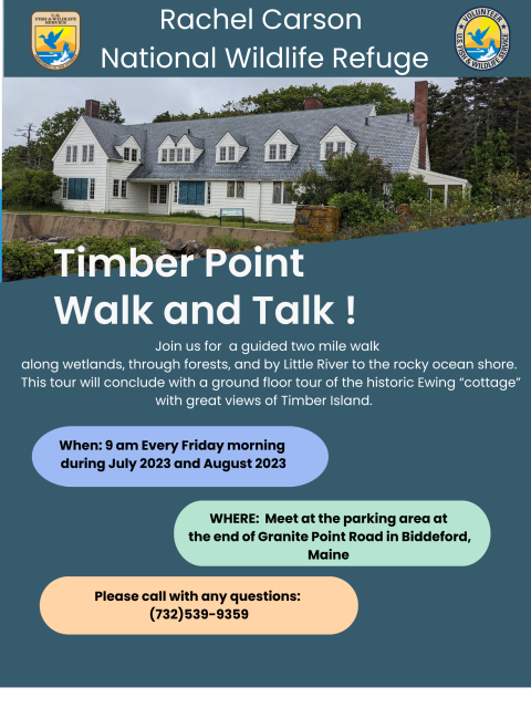 Historic Ewing cottage overlooking the sea