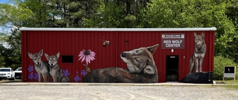 a red building with a mural of red wolves