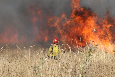 person in yellow suit and red hard hat in a grassy field with a smoking fire in the background