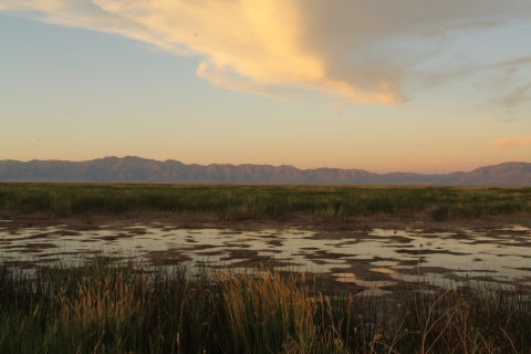 Sunset at Bear River Migratory Bird Refuge in Utah
