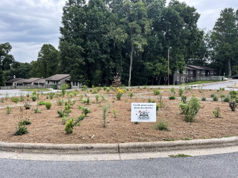 Newly planted garden with apartments in the background, road in the foreground with a sign reading locally gornw native plants provided by Carolina Native Nursery