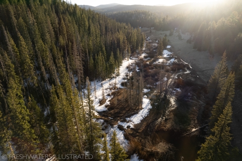 Aerial shot of headwater stream in White Mountains of Arizona