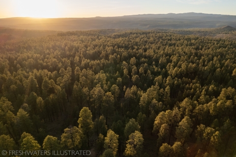Aerial shot of White Mountains of Arizona