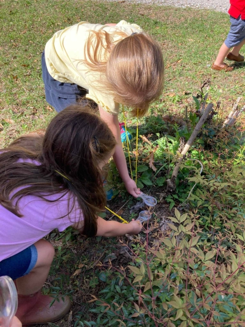 Children explore insect on a plant with magnifying glass