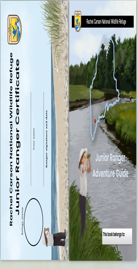 State of Maine on the Saltmarsh with Junior Ranger Looking through binoculars