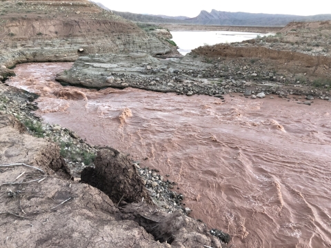 Rapid flowing through canyon