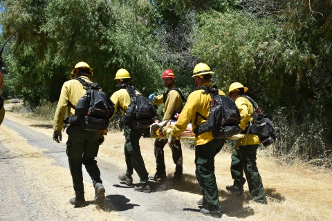 Wildland firefighters carry out a patient on a rescue backboard during a training scenario.