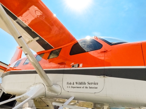 Fish & Wildlife Service Kodiak survey plane