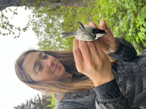 a woman untangles a small bird from a net