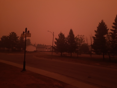 A very redish pink photo of a street with trees. The sky is so dark with smoke it looks like thick pink and red.