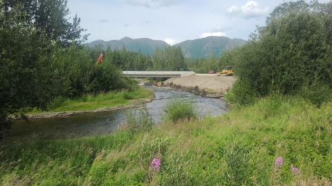 a bridge over a river in the distance with mountains in the background and pink fireweed flowers in the foreground