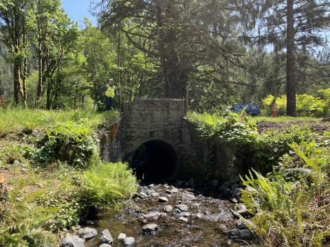 A stone culvert with a gentle creek flowing out over rocks. Green vegetation lines the banks and a person wearing a bright safety vest stands on top of the culvert.