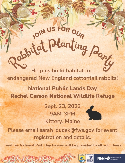 National Public Lands Day Flyer with New England Cottontail siluette