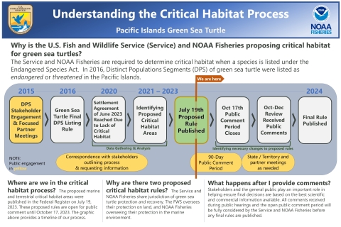 A diagram that shows the process of how critical habitat is designated