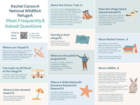 Frequently asked questions Poster Featuring a kayak and paddle a brown rv facing left, a red and yellow beach umbrella, some brown hiking boots, a map, a kiker, an orange starfish, a shortbird, a stack of books and a rabbit