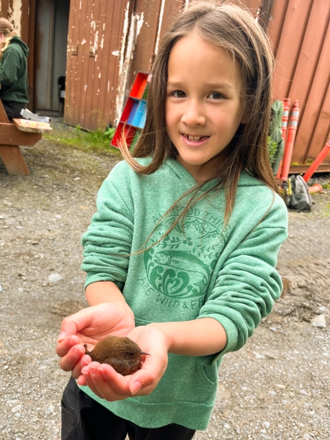 a girl holds a small brown bird in her open hands