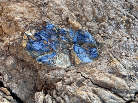 Bright blue mineral face in rock bluff