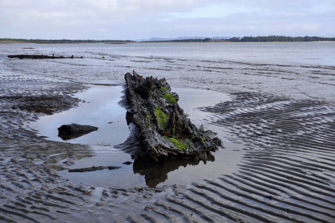 A rock in water in Willapa Bay. Picture taken from Leadbetter Point at Willapa National Wildlife Refuge