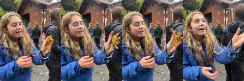 a series of photos showing a woman releasing a yellow bird
