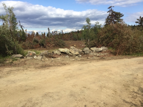 A line of boulders separates a dirt clearing and downed shrubs and trees. A forest stands in the distance