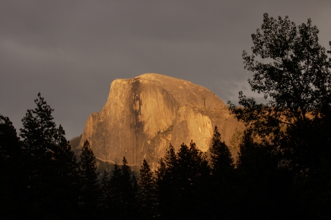 The flat face of a large rock that towers over surrounding trees is lit by the setting sun.