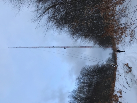a communication tower near trees