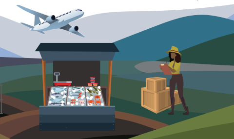 A market stall with animal products on ice is in the foreground. A plane flies above and an inspector checks a shipment of boxes. 