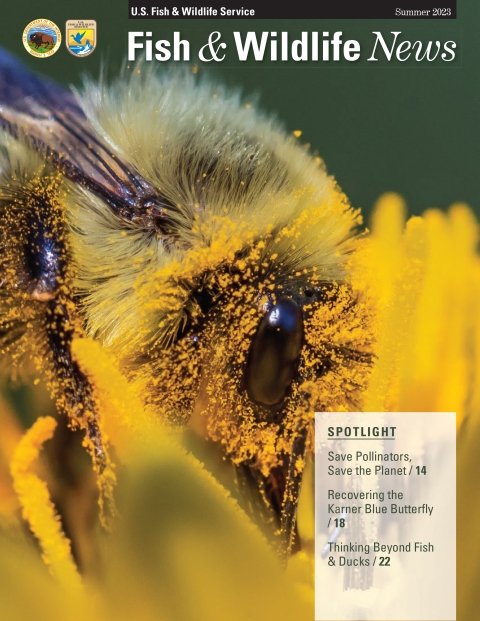 magazine cover with bee covered in pollen on flower